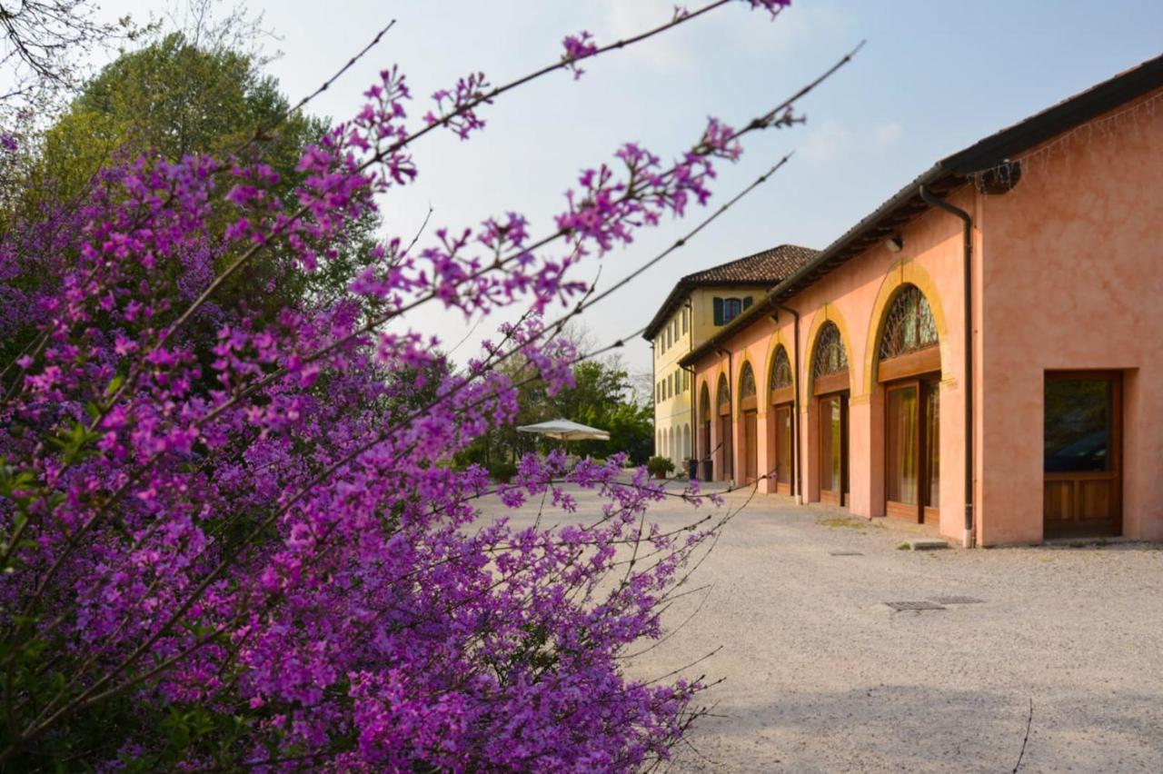 Agriturismo Rechsteiner Ponte di Piave Exterior foto